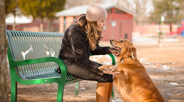 Does Your Dog Have Behavior Problems? Here's What to Do
