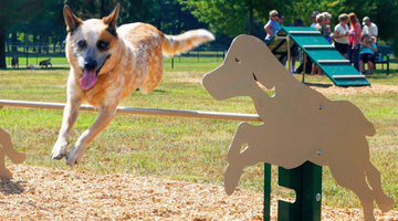 How To Choose Dog Park Equipment?